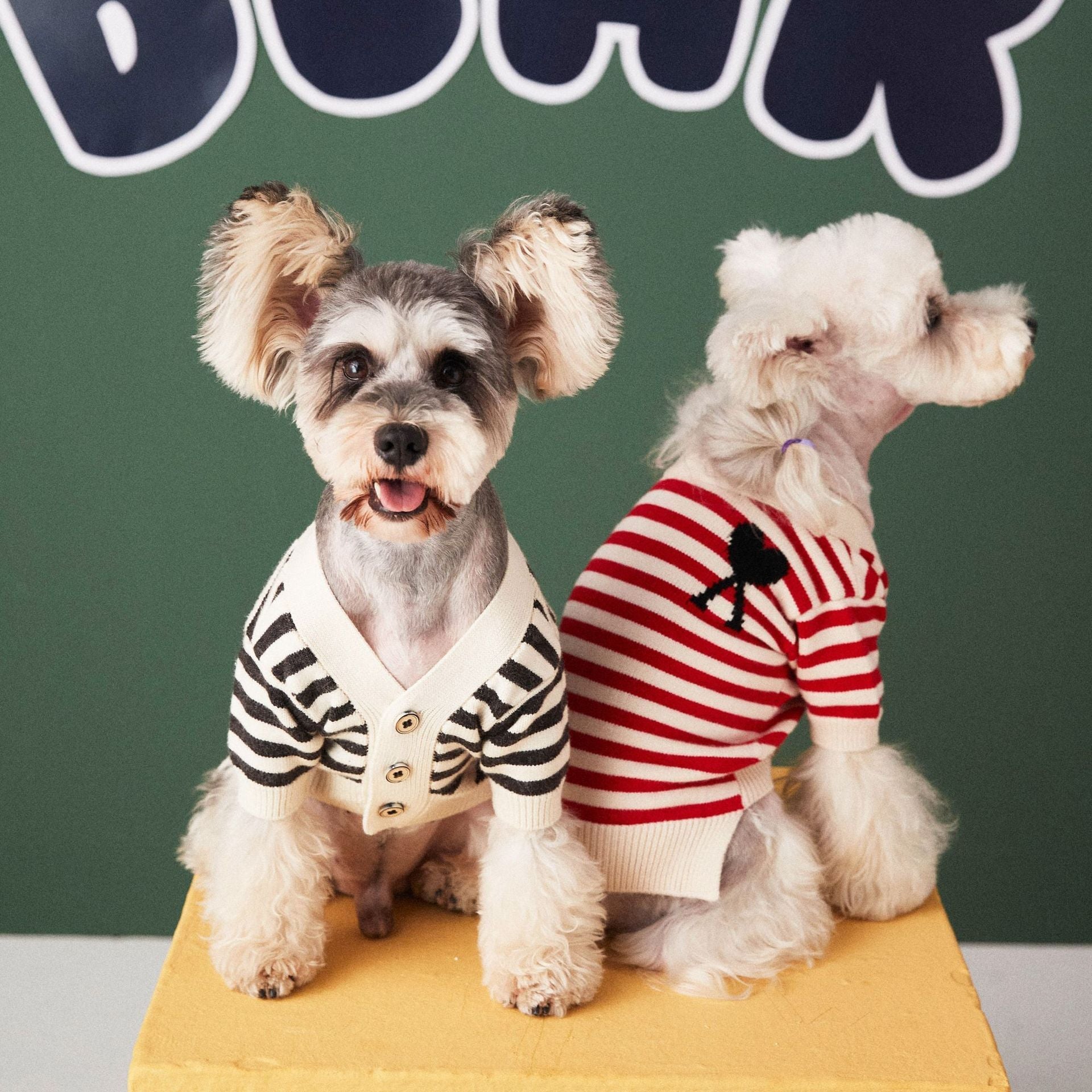 Keep Your Pup Cozy with Our Striped Sweater Cardigan!